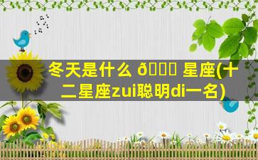 冬天是什么 🐒 星座(十二星座zui
聪明di一
名)